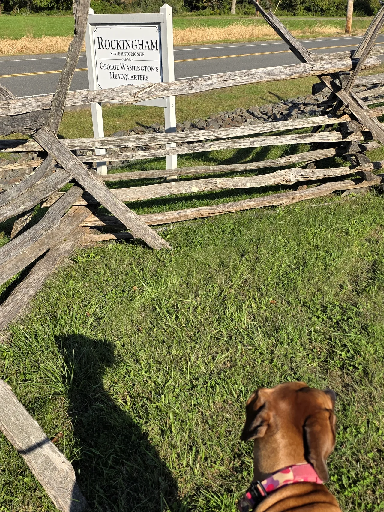 Arwen, a reddish-brown dog in a pink collar, in the grass below the Rockingham State Historic Site sign behind a split-rail fence